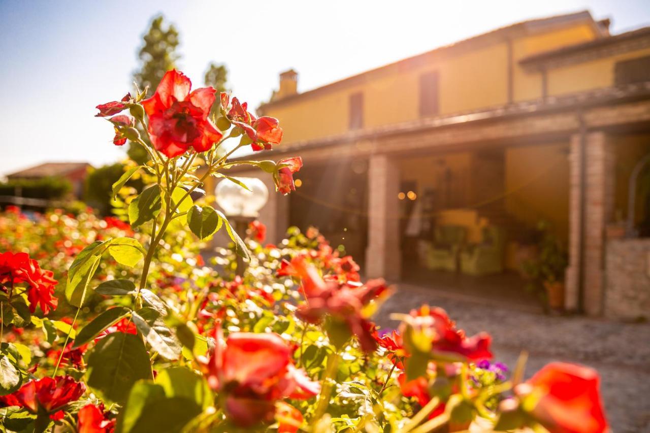 Il Podere Del Germano Reale Коріано Екстер'єр фото
