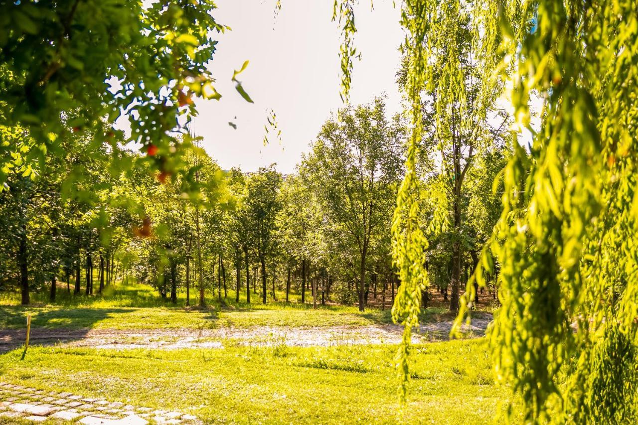 Il Podere Del Germano Reale Коріано Екстер'єр фото